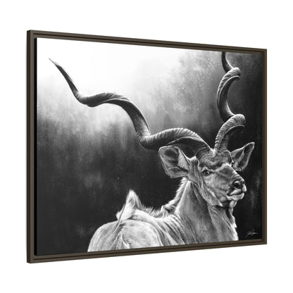 "Kudu" Framed Canvas