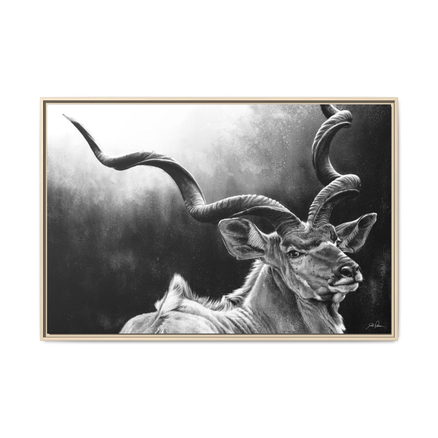 "Kudu" Framed Canvas