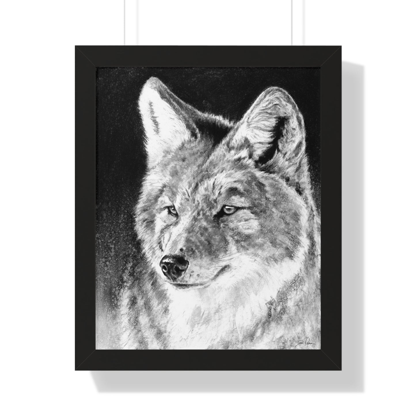 "Coyote II" Framed Paper Print.