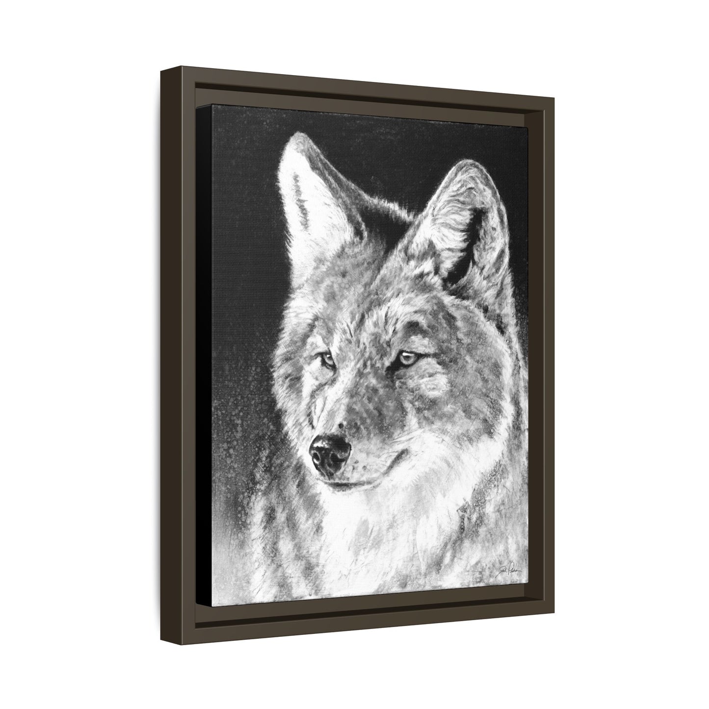 "Coyote II" Framed Canvas