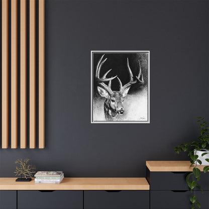 "Whitetail Buck" Framed Canvas