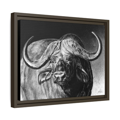 "Cape Buffalo" Framed Canvas