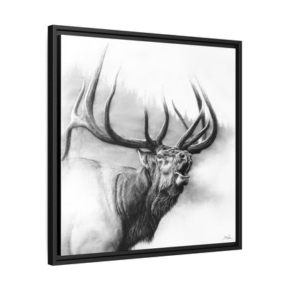 "Rocky Mountain King" Framed Canvas