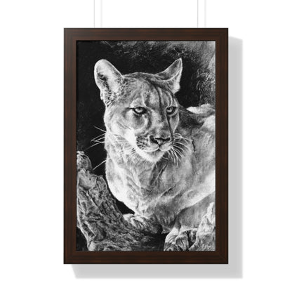 "Mountain Lion" Framed Paper Print