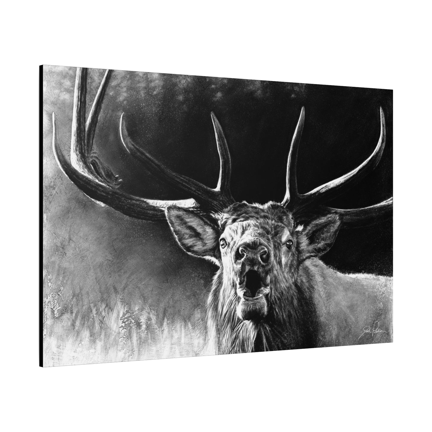 "Battle Cry" Stretched Canvas