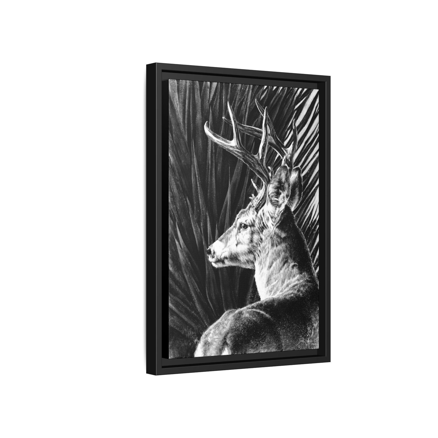 "Coues Buck" Framed Canvas