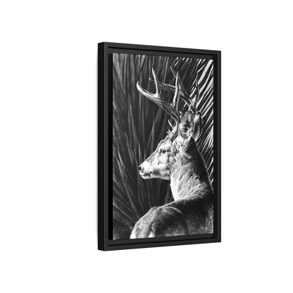 "Coues Buck" Framed Canvas