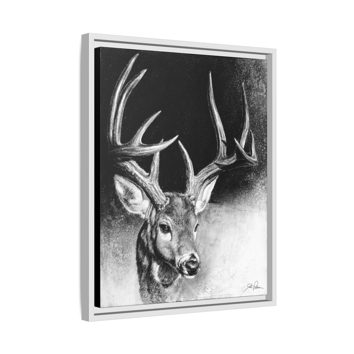 "Whitetail Buck" Framed Canvas