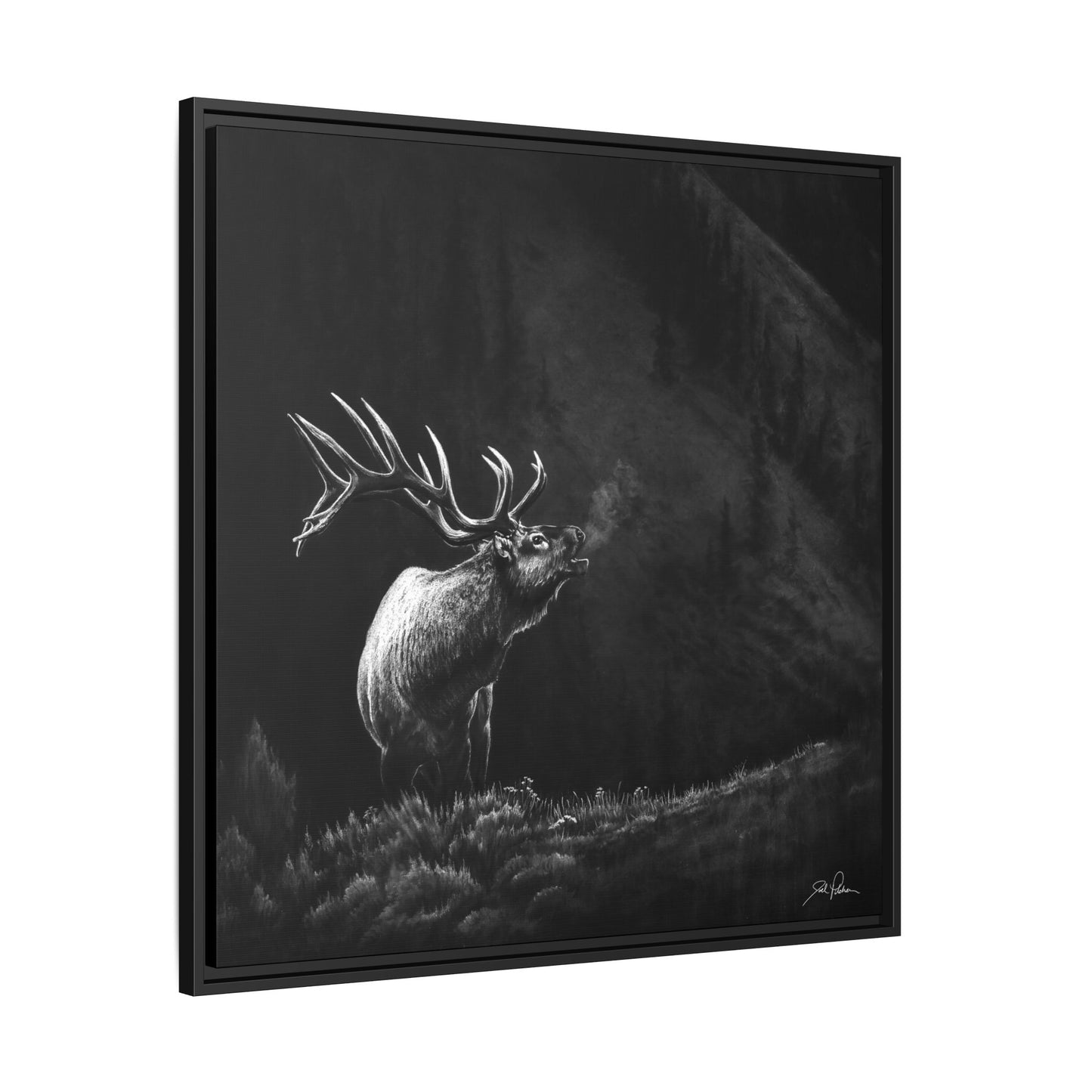 "Mountain Monarch" Framed Canvas
