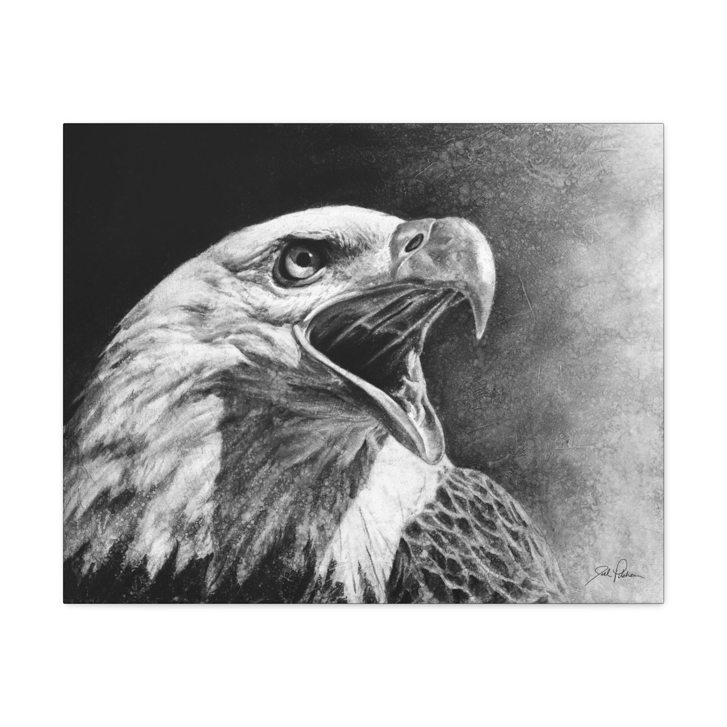 "Bald Eagle" Gallery Wrapped Canvas