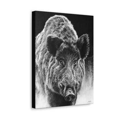 "Wild Boar" Gallery Wrapped Canvas