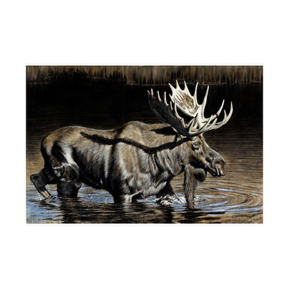 "Big Dipper" Premium Matte Paper Print