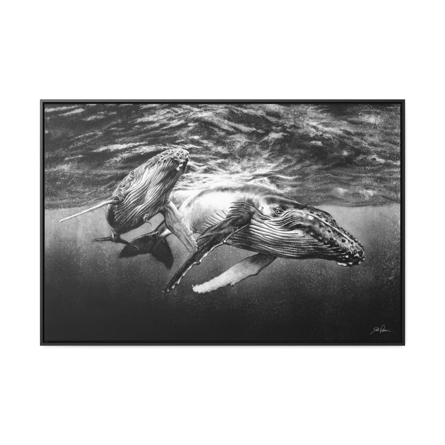 "Humpback Whales" Gallery Wrapped/Framed Canvas