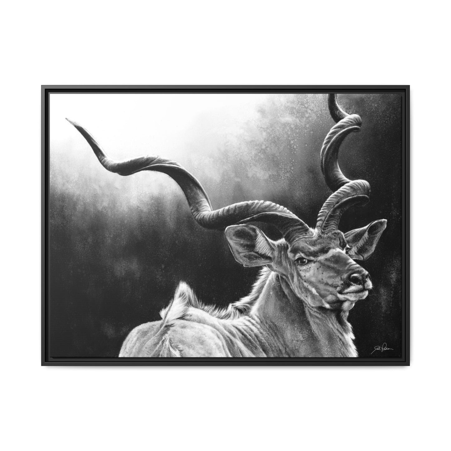 "Kudu" Framed Canvas