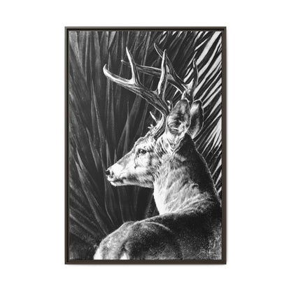 "Coues Buck" Framed Canvas