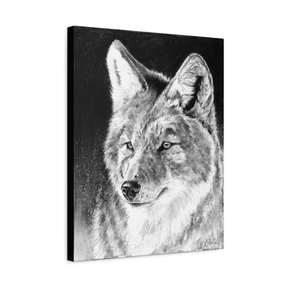 "Coyote II" Stretched Canvas