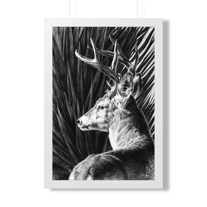 "Coues Buck" Framed Paper Print