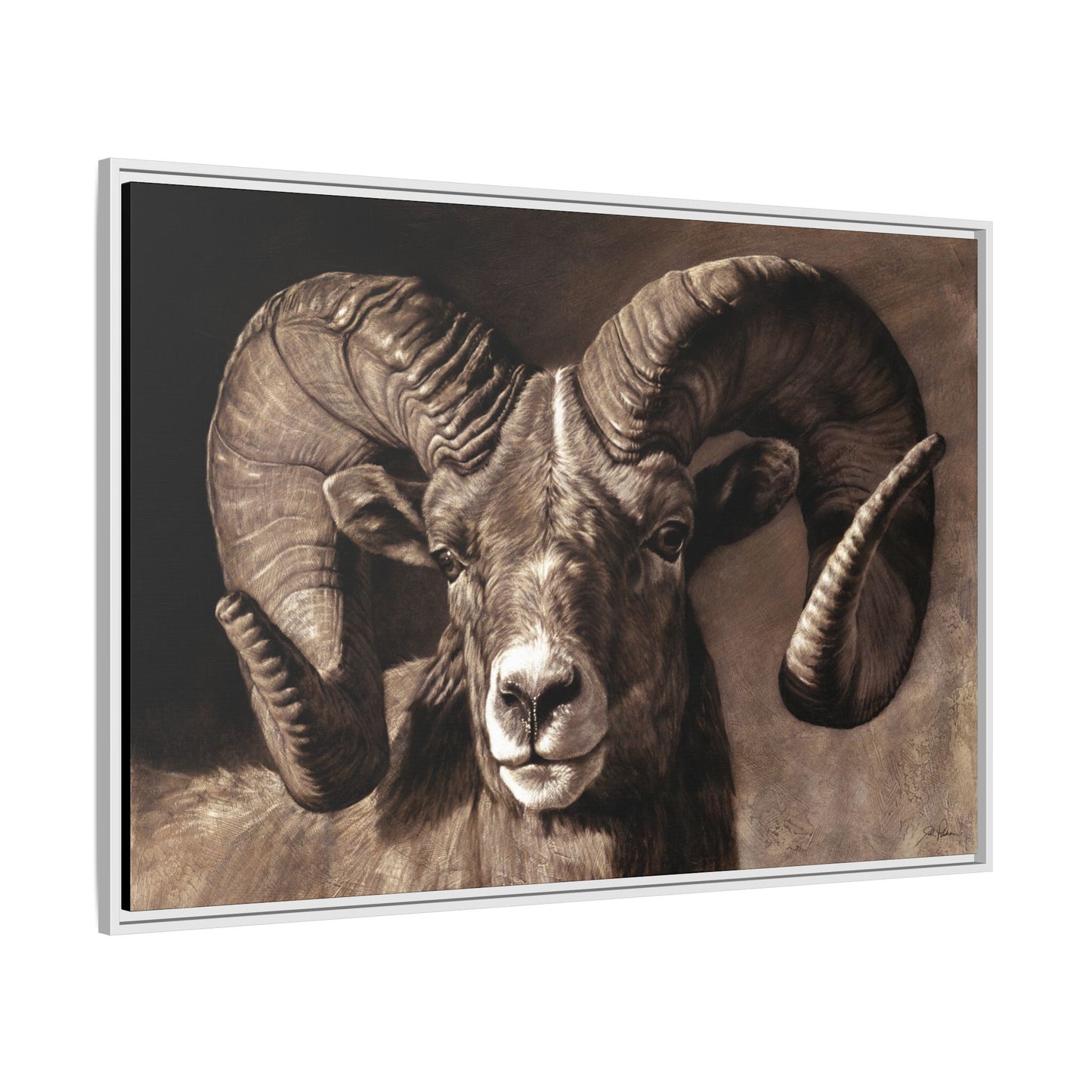 "Full Curl" Framed Canvas