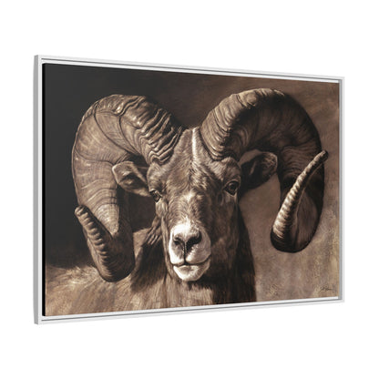 "Full Curl" Framed Canvas