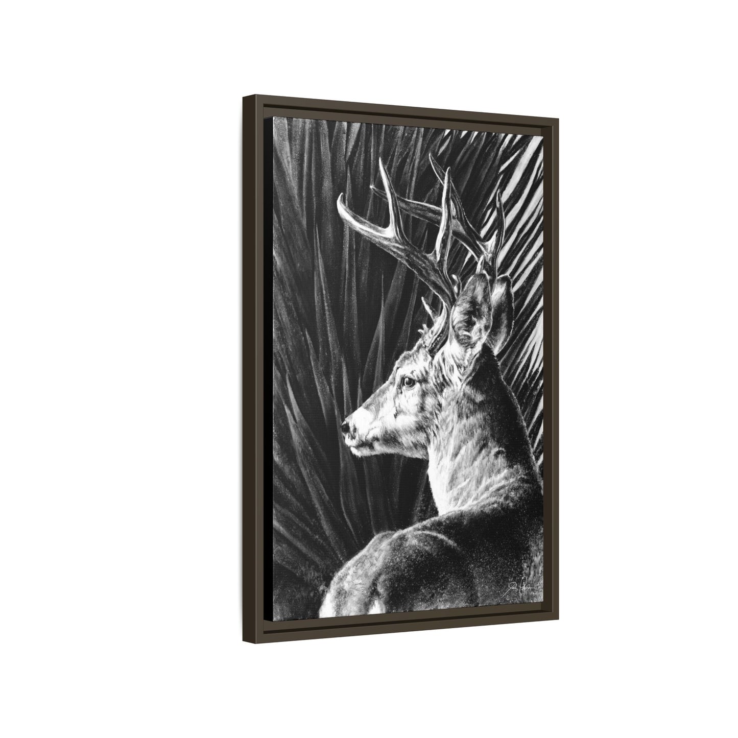 "Coues Buck" Framed Canvas
