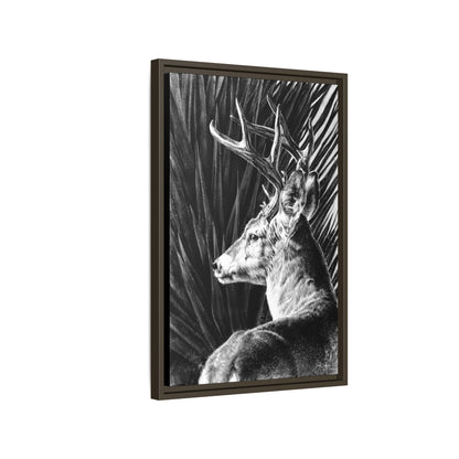 "Coues Buck" Framed Canvas