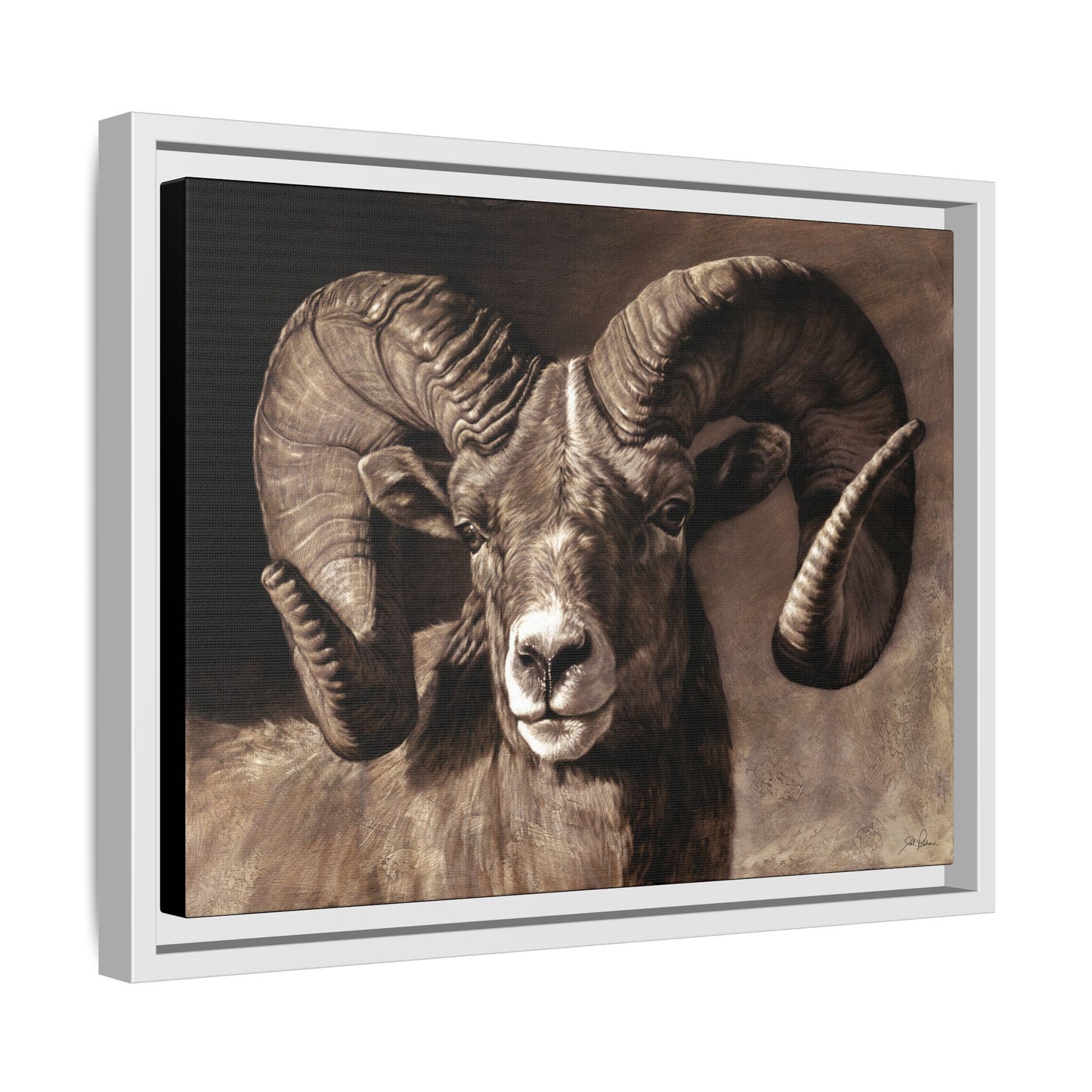 "Full Curl" Framed Canvas