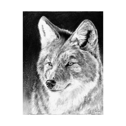 "Coyote II" Premium Matte Paper Print.