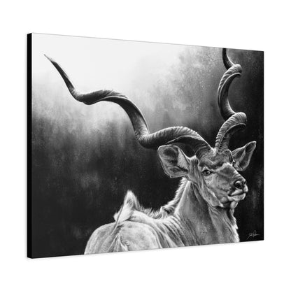 "Kudu" Stretched Canvas