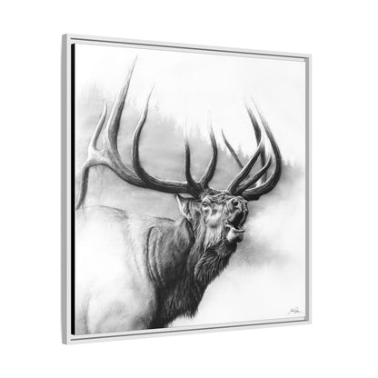 "Rocky Mountain King" Framed Canvas