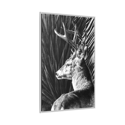 "Coues Buck" Framed Canvas