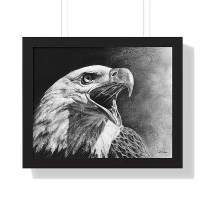 "Bald Eagle" Framed Paper Print