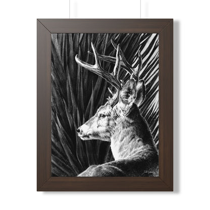 "Coues Buck" Framed Paper Print