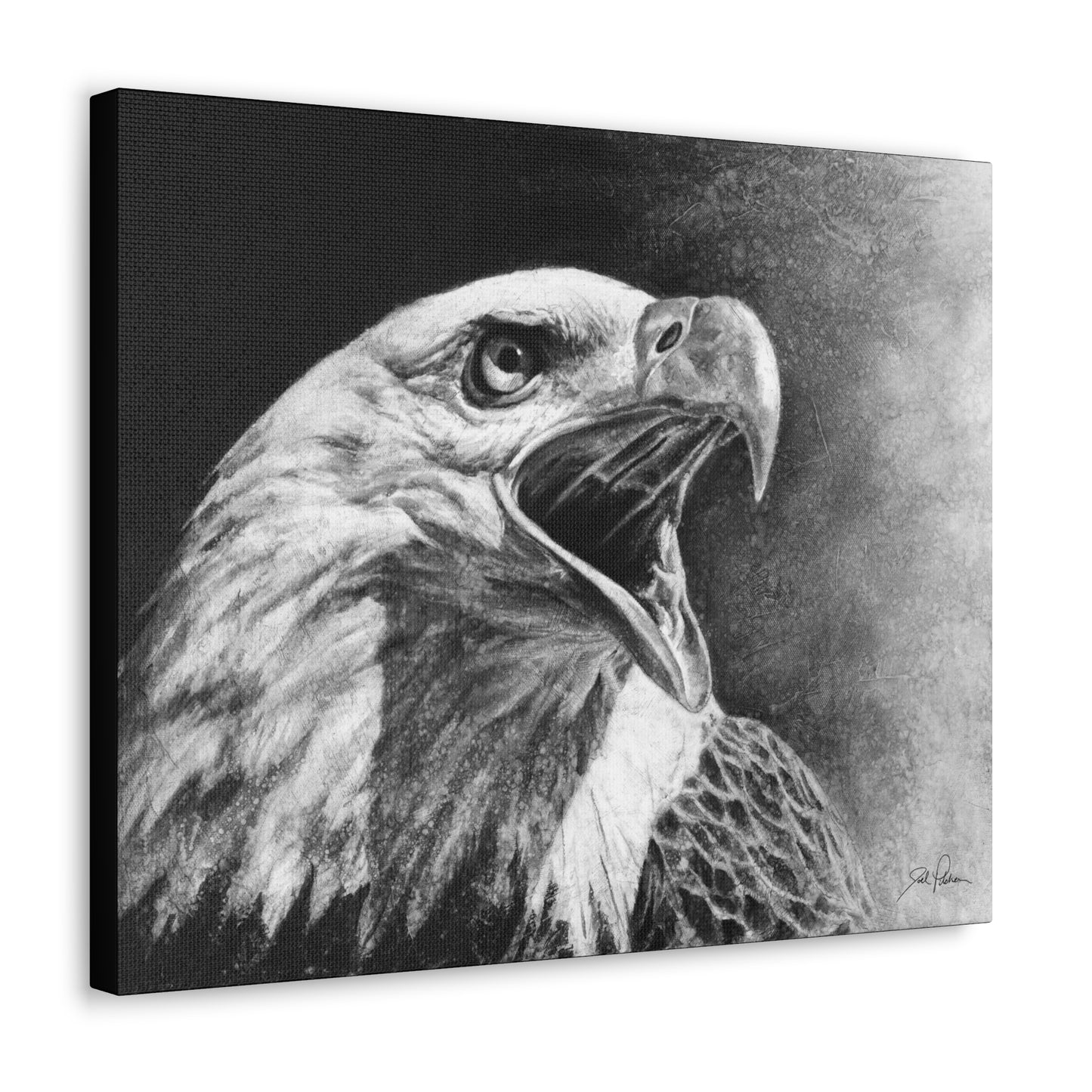 "Bald Eagle" Gallery Wrapped Canvas