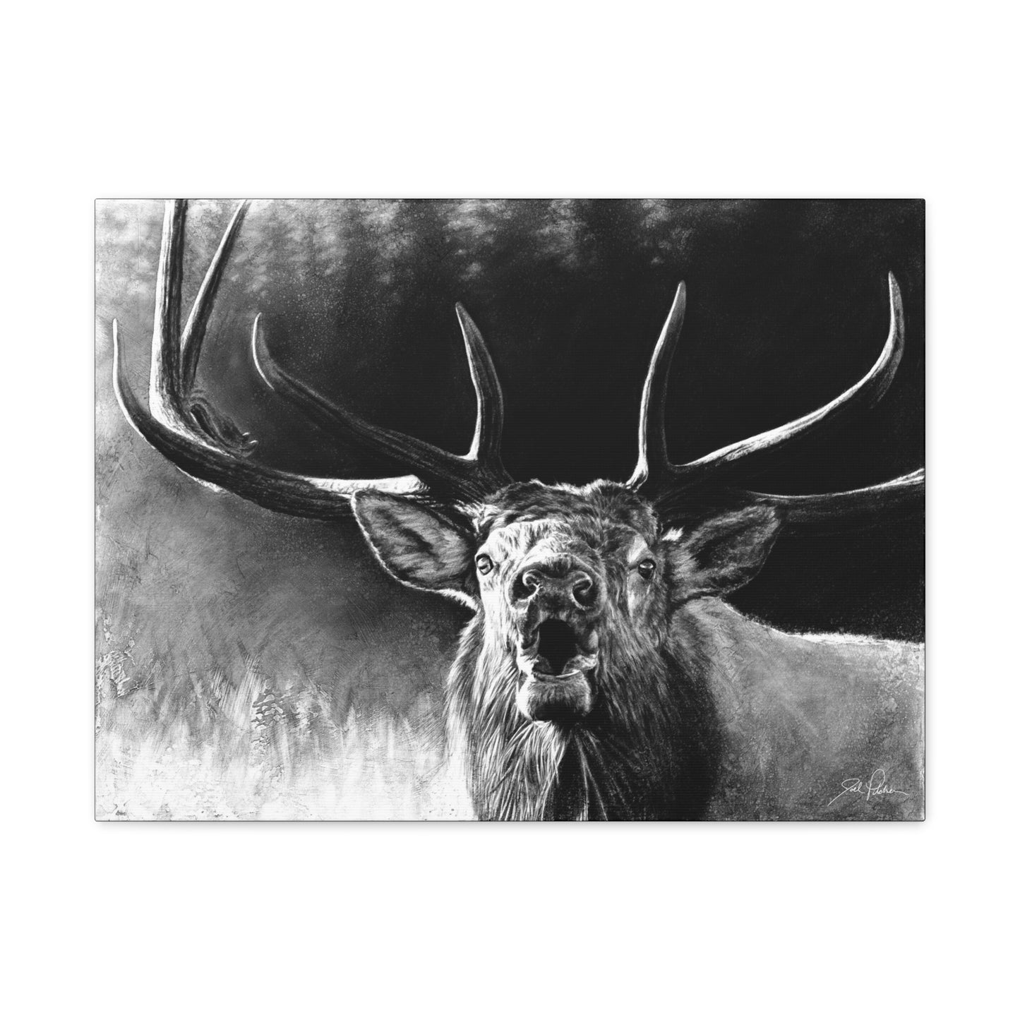"Battle Cry" Stretched Canvas