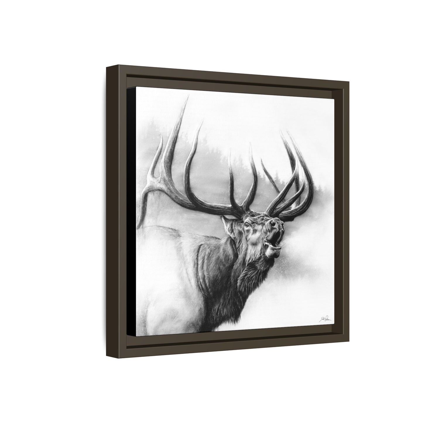 "Rocky Mountain King" Framed Canvas