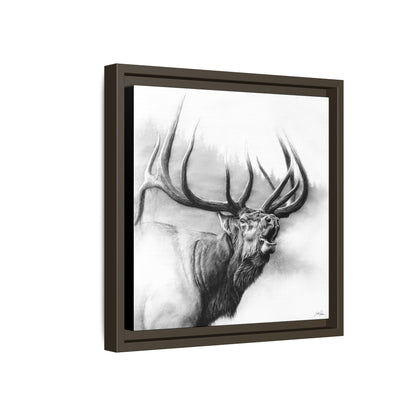 "Rocky Mountain King" Framed Canvas
