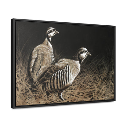 "Chukars" Gallery Wrapped/Framed Canvas