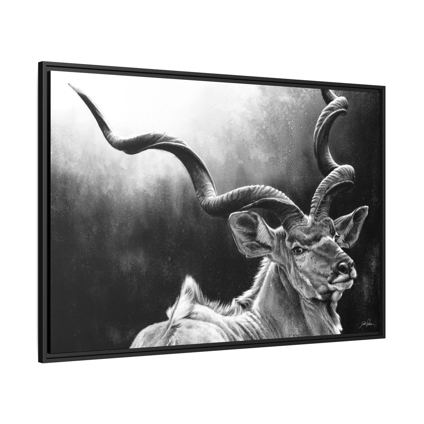 "Kudu" Framed Canvas