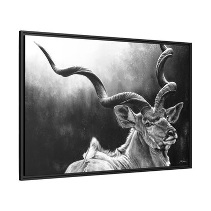 "Kudu" Framed Canvas