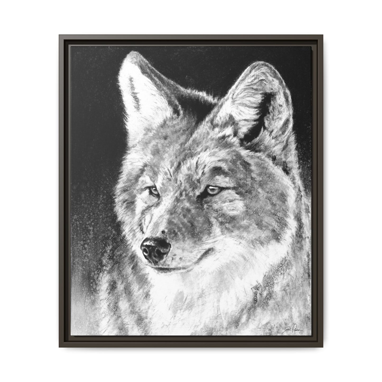 "Coyote II" Framed Canvas