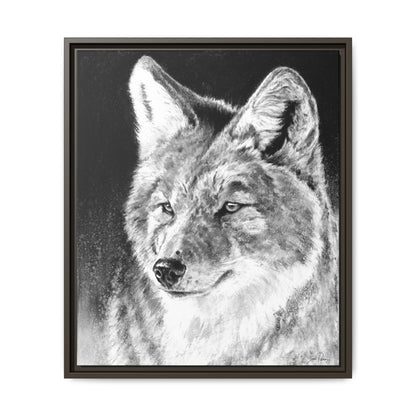 "Coyote II" Framed Canvas