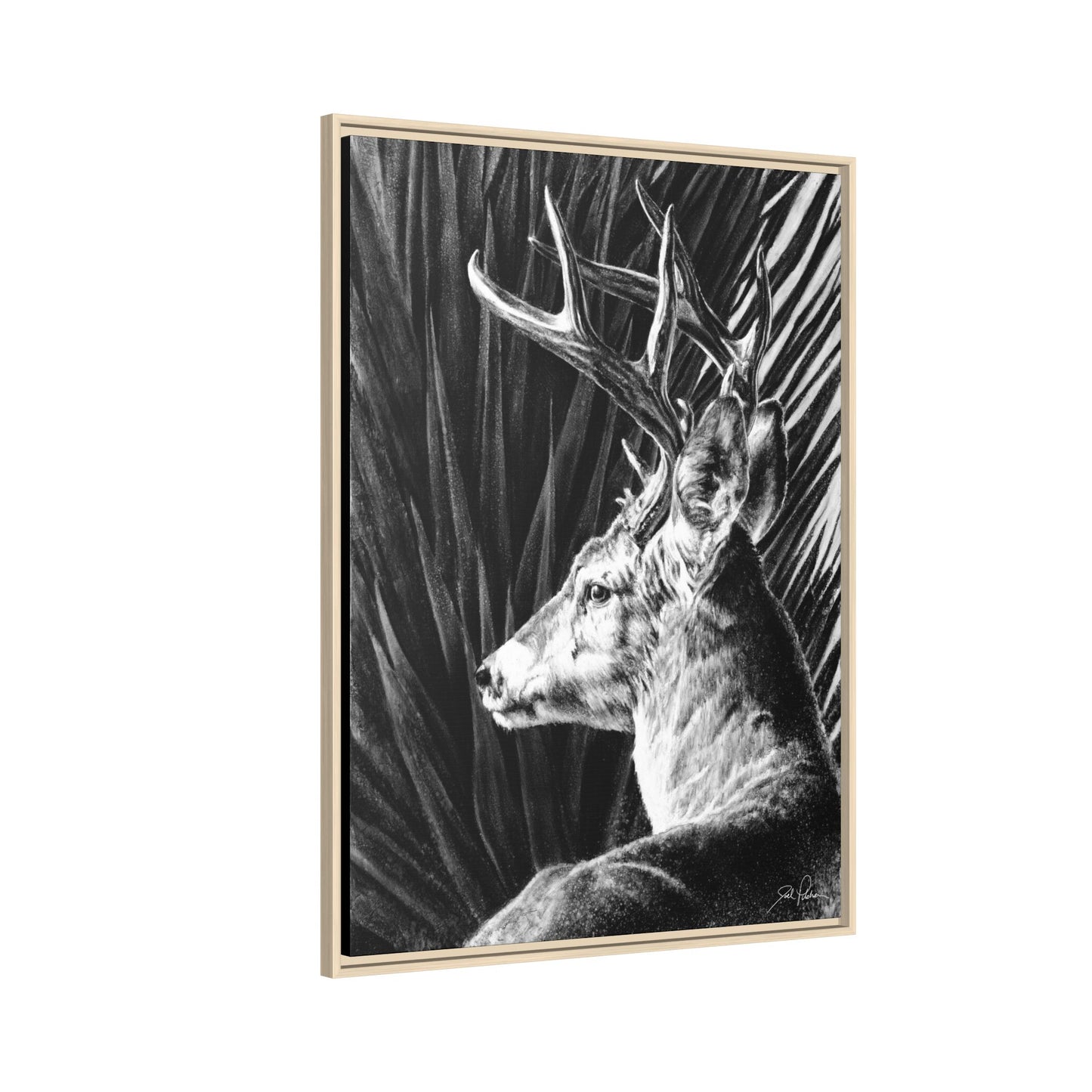 "Coues Buck" Framed Canvas