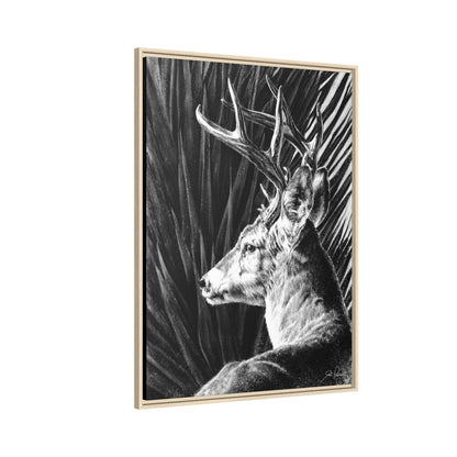 "Coues Buck" Framed Canvas