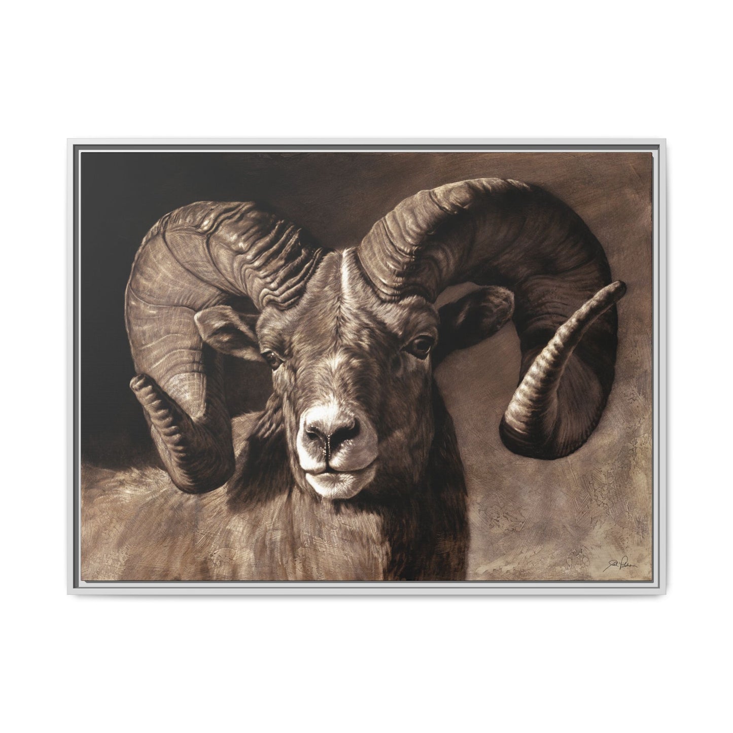 "Full Curl" Framed Canvas