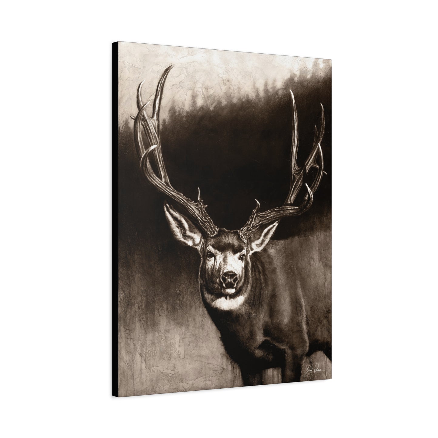 "Muley" Stretched Canvas