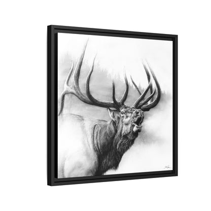 "Rocky Mountain King" Framed Canvas
