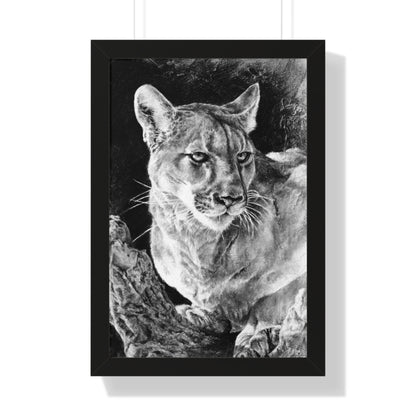 "Mountain Lion" Framed Paper Print