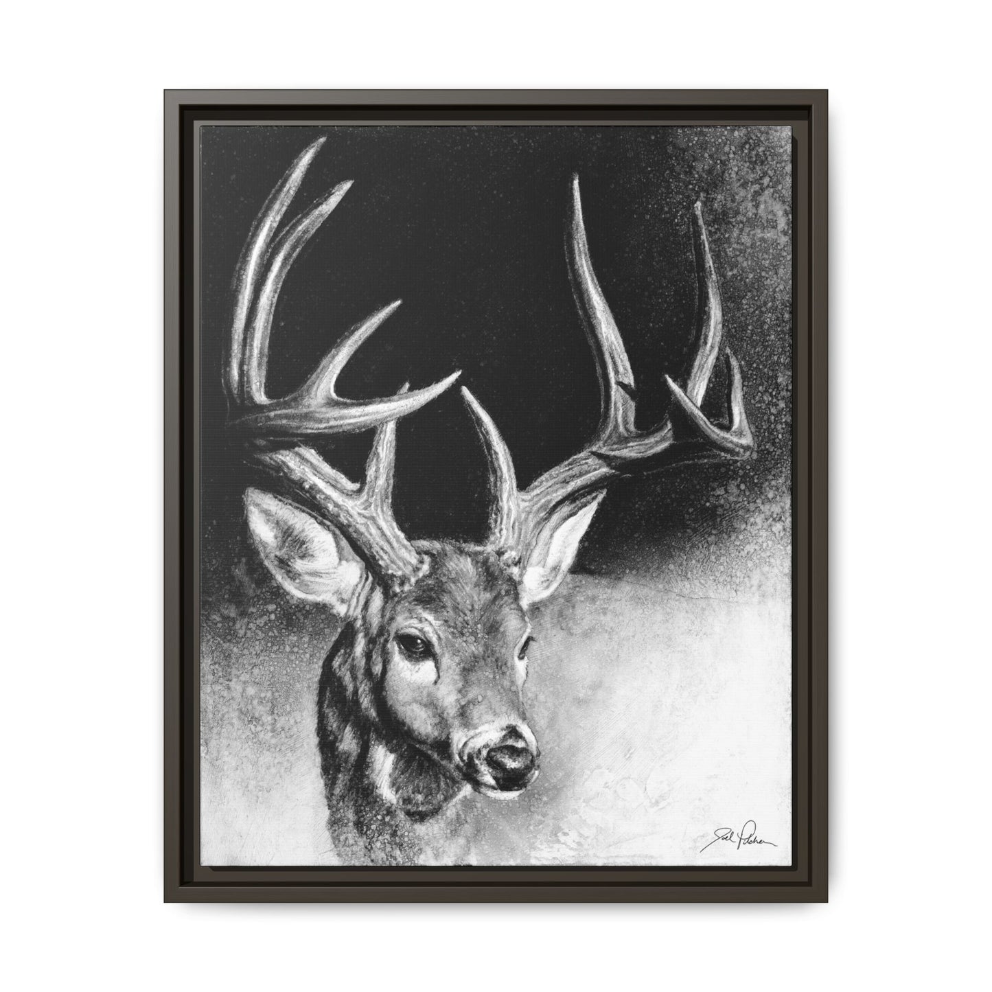 "Whitetail Buck" Framed Canvas