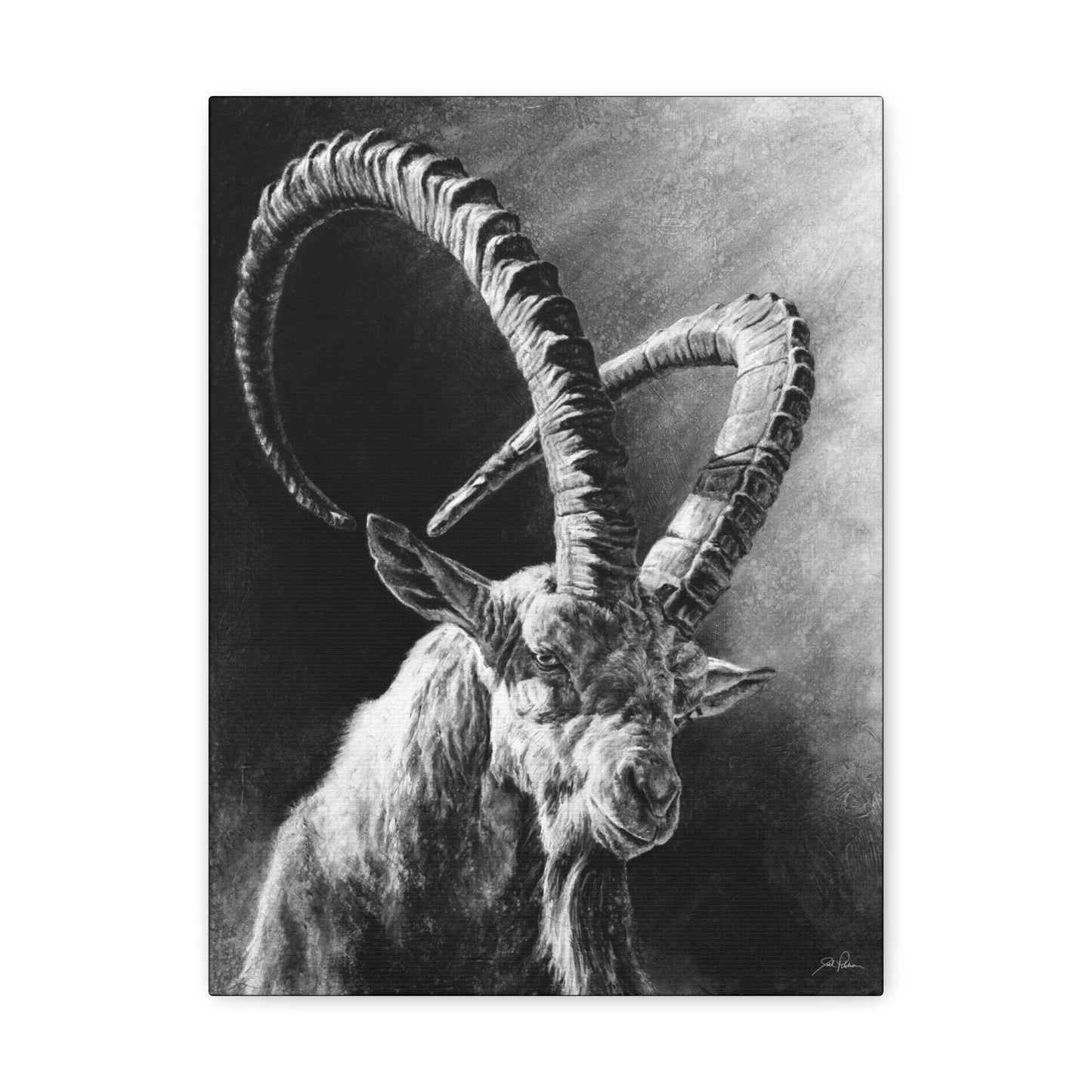 "Ibex" Gallery Wrapped Canvas