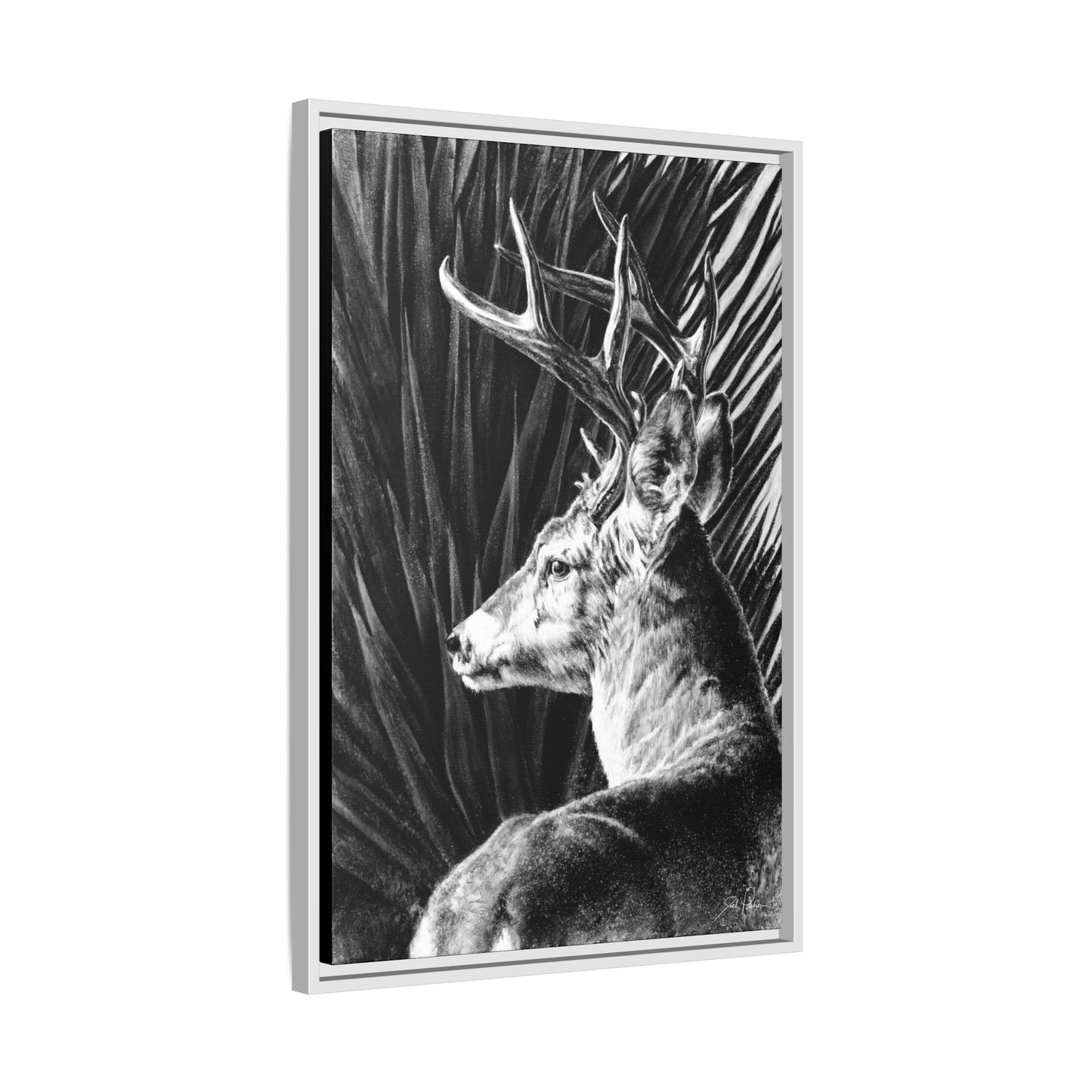 "Coues Buck" Framed Canvas